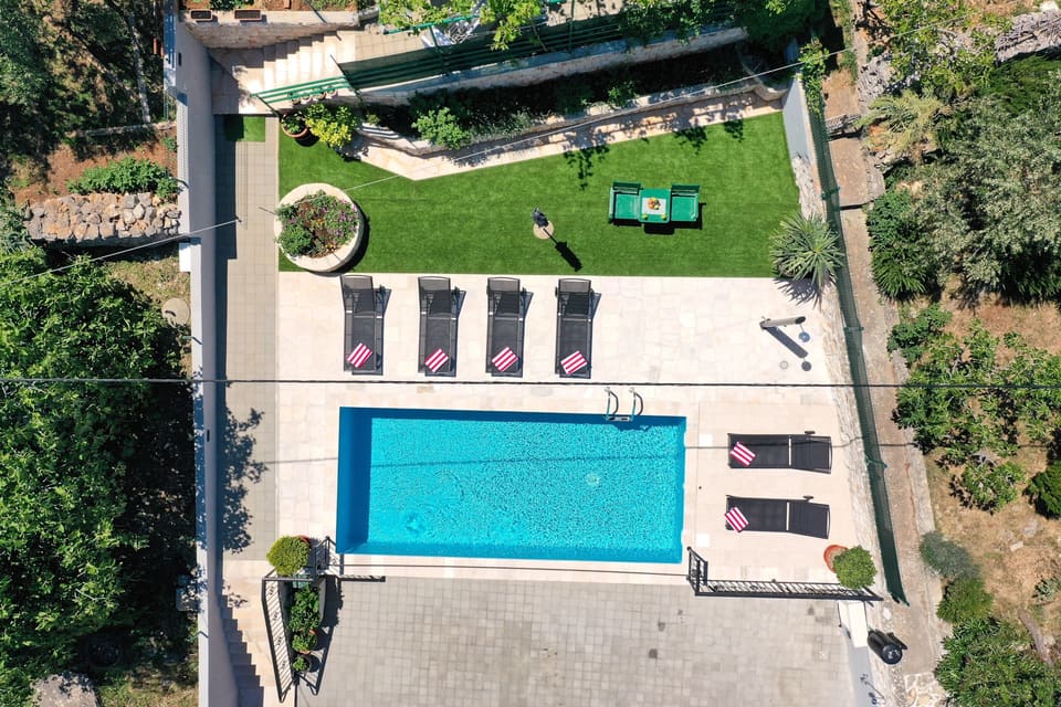 The yard, lawn and pool from above